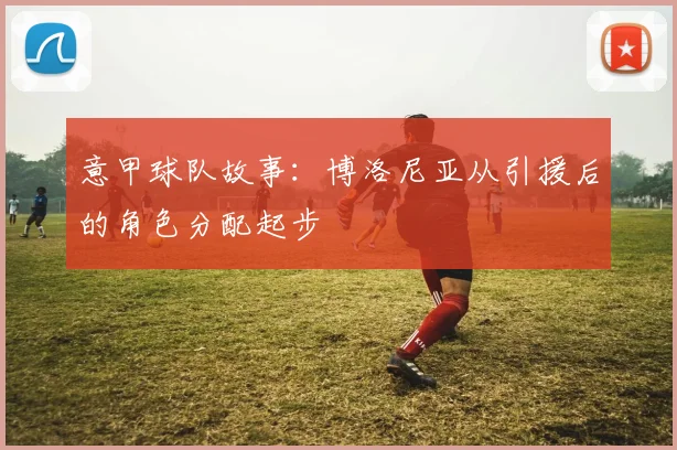 意甲球队故事：博洛尼亚从引援后的角色分配起步
