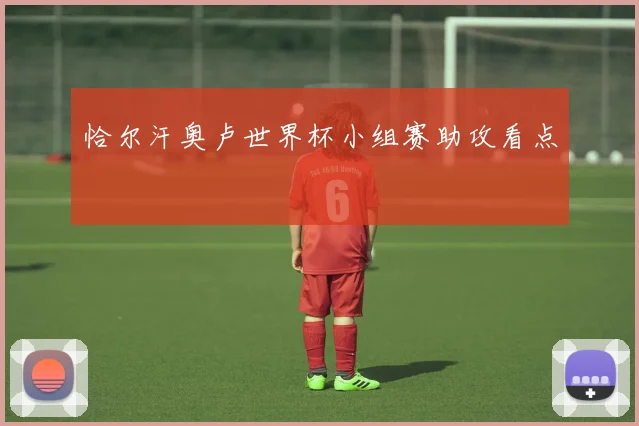 恰尔汗奥卢世界杯小组赛助攻看点