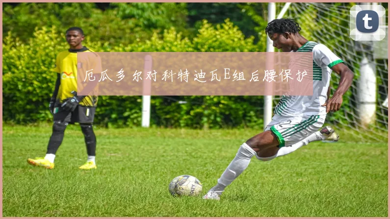 厄瓜多尔对科特迪瓦E组后腰保护