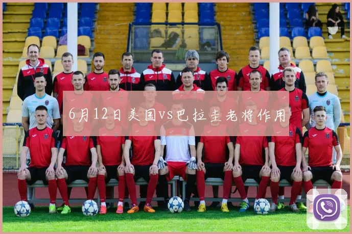 6月12日美国vs巴拉圭老将作用