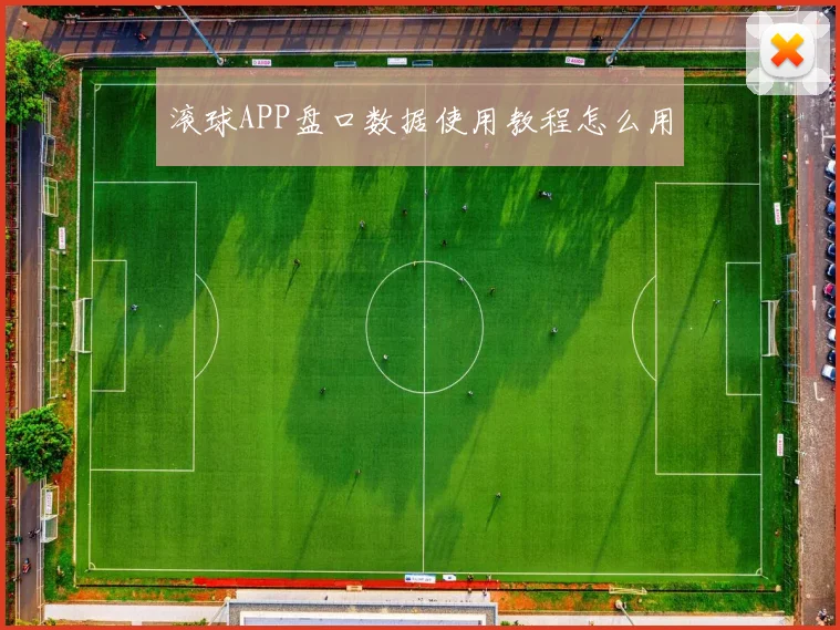 滚球APP盘口数据使用教程怎么用