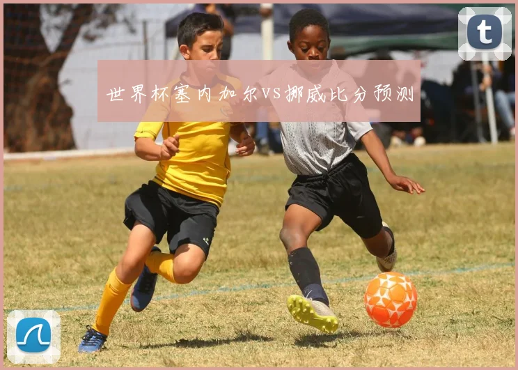 世界杯塞内加尔vs挪威比分预测