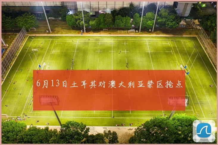 6月13日土耳其对澳大利亚禁区抢点