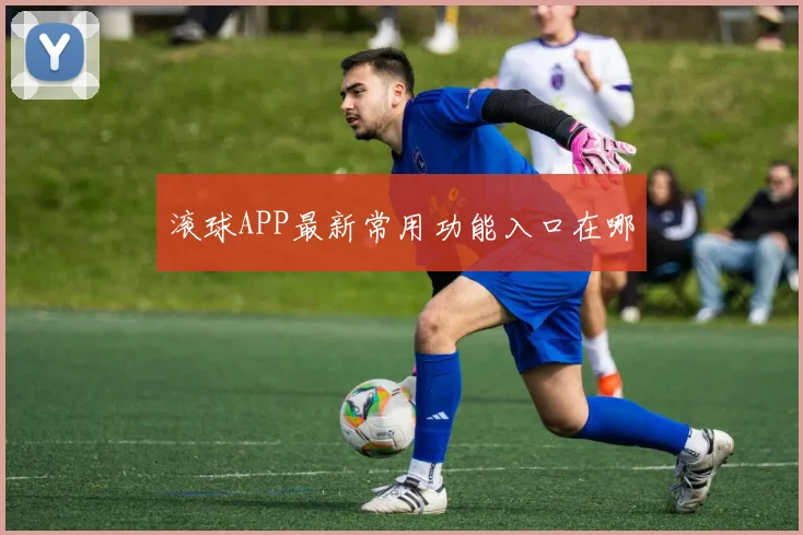 滚球APP最新常用功能入口在哪