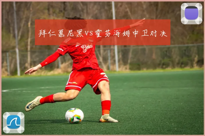 拜仁慕尼黑vs霍芬海姆中卫对决