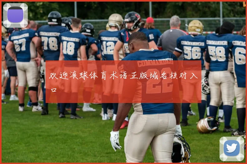 欢迎滚球体育术语正版域名核对入口